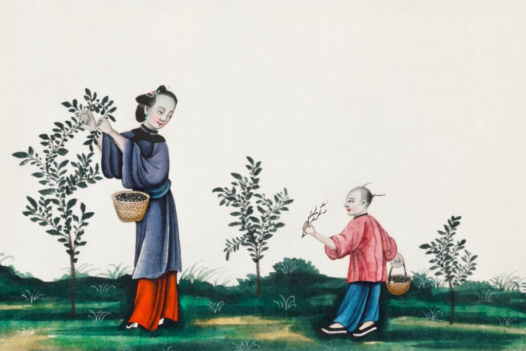 Pintura chinesa ilustrando uma mãe e um filho colhendo brotos de chá (ca. 1800–1899). 